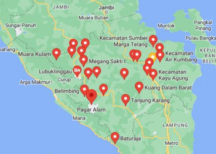 Waduh, 4 Kabupaten dan Kota di Provinsi Sumatera Selatan Ini Minim Perempuan