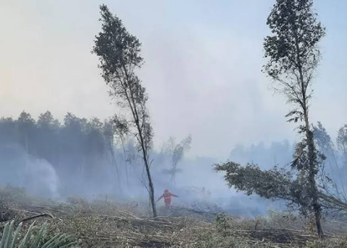 Waspada! Bukan Jakarta, Tapi Palembang yang Menjadi Kota dengan Polusi Terparah di Indonesia