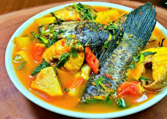 Bolehkah Ibu Hamil Makan Ikan Gabus dan Apa Saja Manfaat Ikan Gabus Bagi Ibu Hamil?