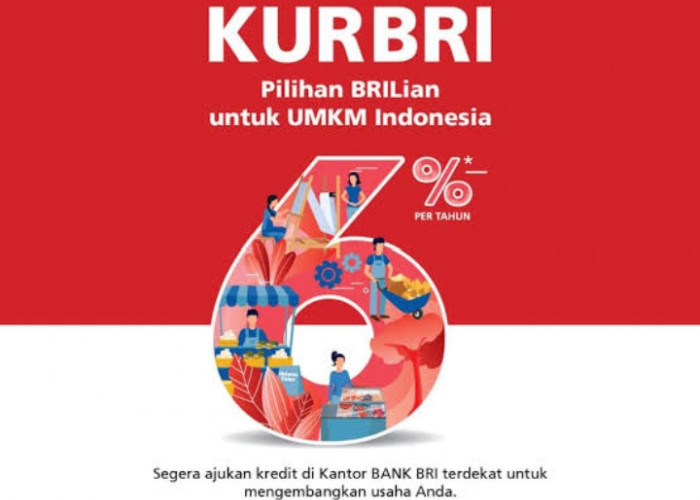 Program KUR BRI: Solusi Finansial Andalan untuk UMKM, Dorong Pertumbuhan Ekonomi Lokal