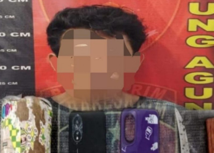 Bobol Rumah Tetangga, Pria Ini Diringkus Team Lebah Polsek Tanjung Agung