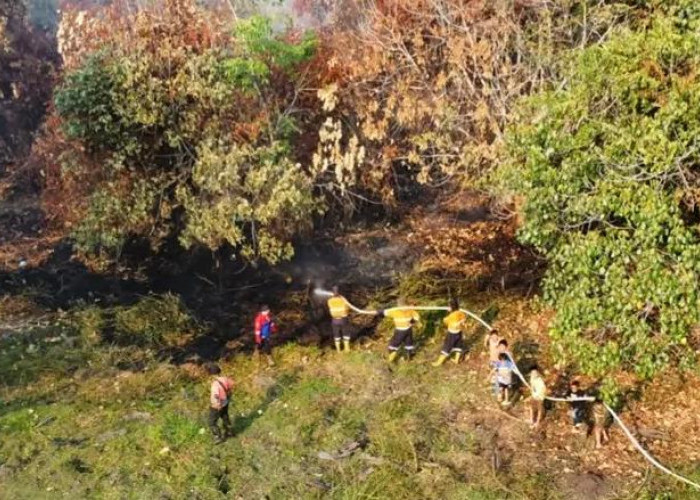 20 Hektare Lahan Terbakar di Muara Enim, Petugas Terkendala Akses dan Sumber Air