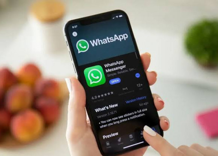 6 Fitur Terbaru Whatsapp, Berikan Kemudahan dan Kenyamanan