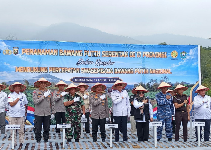 Dukung Swasembada Pangan, Muara Enim Targetkan Produksi 200 Ton Bawang Putih