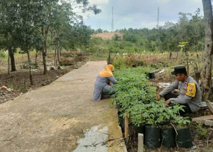 Bhabinkamtibmas Inisiasi Program Ketahanan Pangan di Kelurahan Pasar 1 Muara Enim