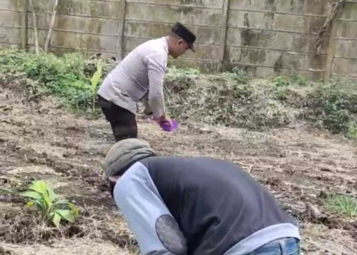 Bhabinkamtibmas Desa Lingga jadi Teladan Gerakan Ketahanan Pangan