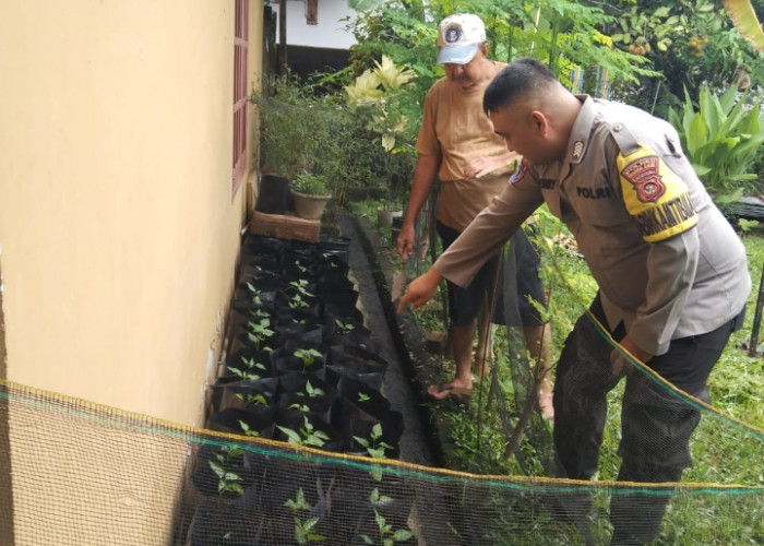 Bhabinkamtibmas Tanjung Raja Muara Enim Kontrol Pekarangan untuk Ketahanan Pangan