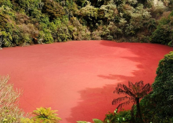Wisata Sumatera Selatan: Danau Merah, Cocok untuk Kamu yang Suka Berpetualang di Alam