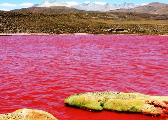 Danau Berwarna Merah Ini Terletak di Perbatasan Pagaralam Sumsel dan Kaur Bengkulu, Berani Kesana?