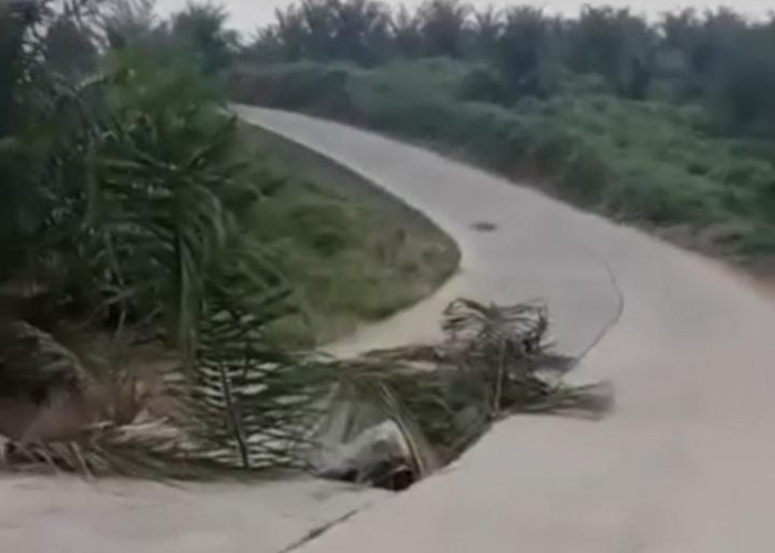 Jalan Alternatif Simpang Aur-Muara Harapan Mengalami Amblas