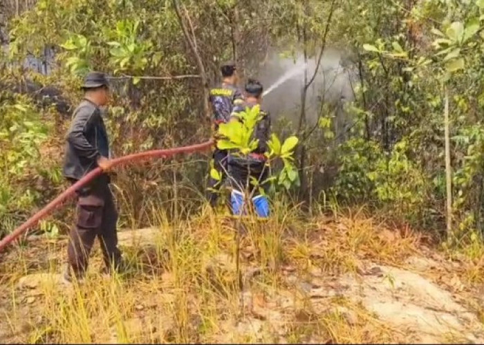 Api Lahap 1 Hektare Lahan di Muara Enim Berhasil Dijinakkan Tim Gabungan