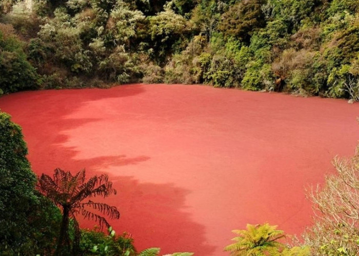 Mau Liburan Akhir Tahun di Sumatera Selatan? Yuk Kunjungi Danau Merah Rimba Candi, Indah Banget Loh!