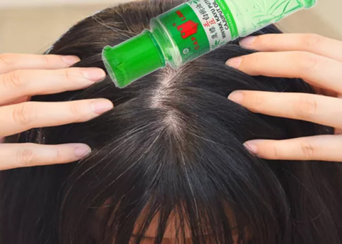 3 Manfaat Minyak Kayu Putih untuk Rambut Beruban dan Efektif Menghitamkan Rambut Dalam Sekali Pemakaian