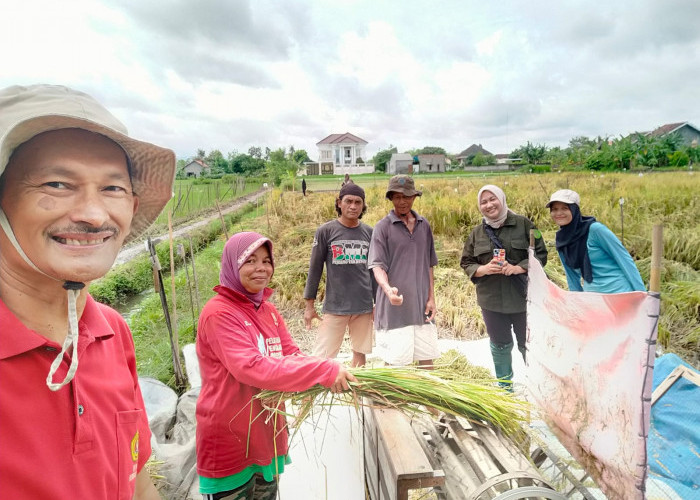 Gandeng Perguruan Tinggi Hingga Petani, PT Bukit Asam Kembangkan Inovasi Pertanian Berkelanjutan