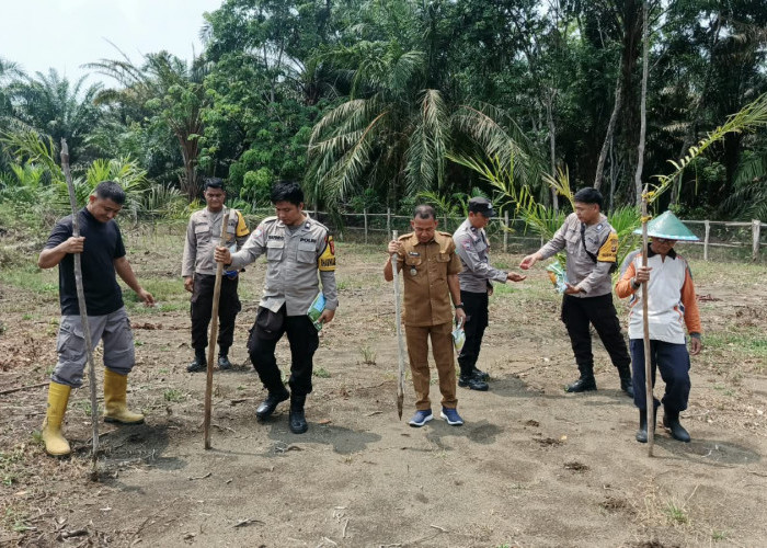 Dukung Program Ketahanan Pangan, Polsek Rambang Niru Tanam Jagung