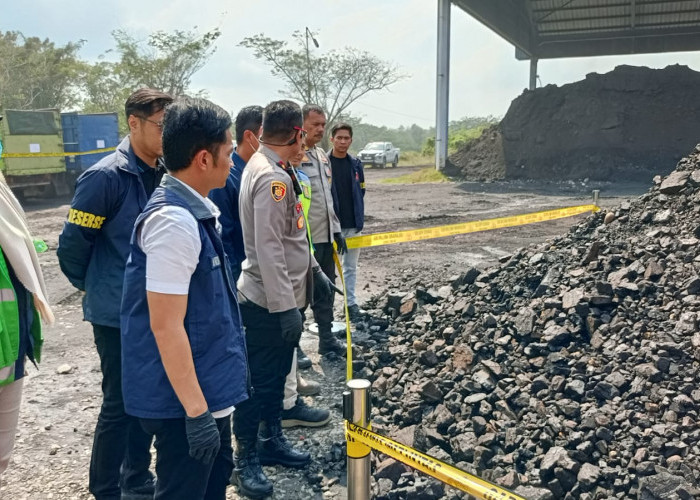 11 Tersangka dan 52 Ton Batu Bara Ilegal di IUP PTBA Diamankan Polisi, Potensi Kerugian Negara Capai Rp95,9 M