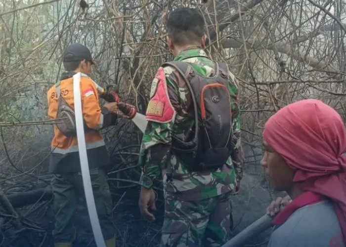 1 Hektare Lahan Mineral di Patra Tani Terbakar
