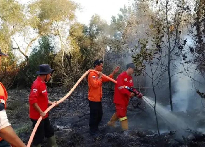 2 Firespot di Muara Enim Berhasil Dipadamkan, Hotspot Didominasi Panas Tambang Batu Bara
