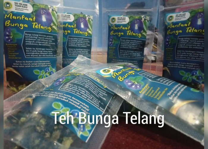 Anda Penderita Kolestrol Tinggi, Cukup Minum Teh Bunga Telang