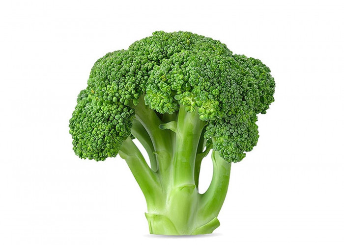 Ini Kandungan Nutrisi dalam Sayuran Brokoli