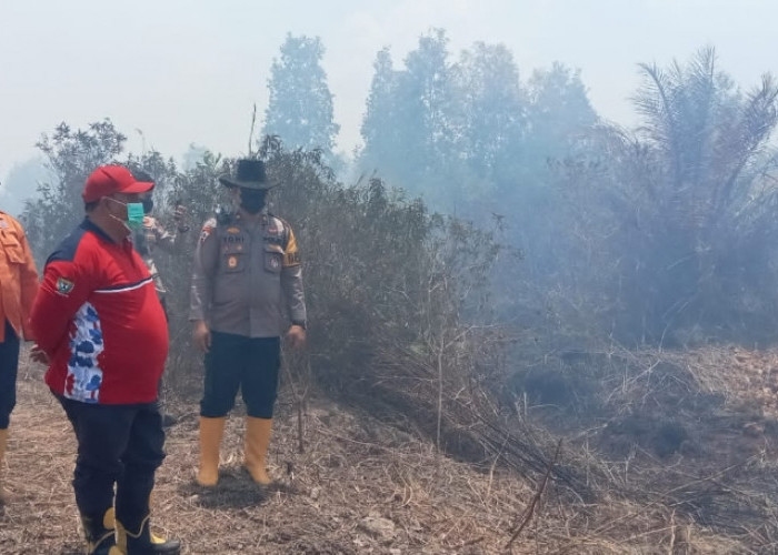 Sekda Muara Enim Tinjau Kebakaran Lahan di PT SAM