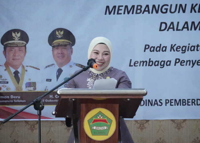 Ketua BKOW Sumsel Ajak Masyarakat Perkuat Ketahanan Keluarga untuk Cegah KDRT