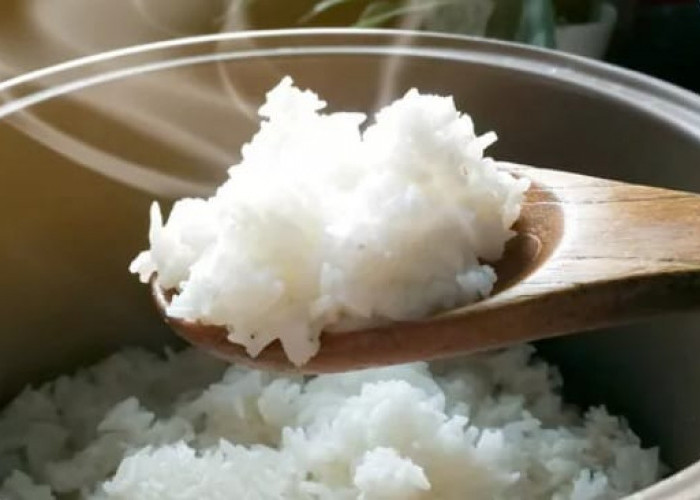 Apakah Benar Bahwa Mengkonsumsi Nasi Dingin Lebih Aman bagi Penderita Diabetes? Simak Penjelasannya Disini