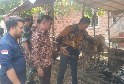 Dinas Pertanian Kabupaten PALI Akan Tambah 3 Pasar Hewan
