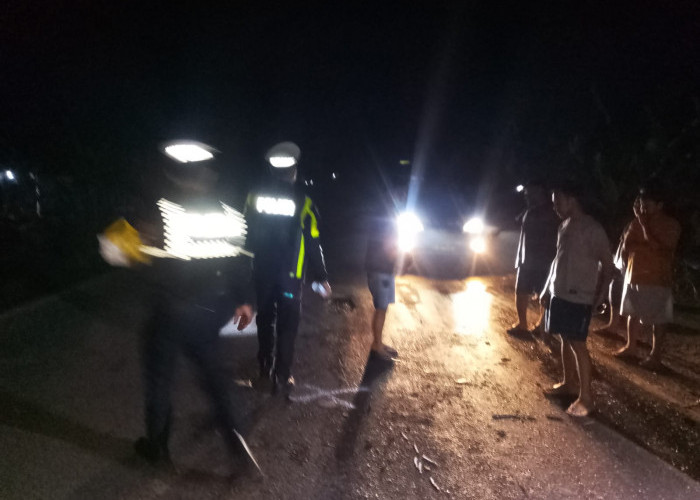 Tabrak Truk Tronton, 1 Penumpang Mobil Colt Diesel Tewas di Tempat