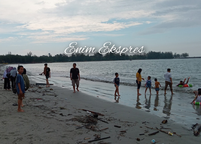 Pantai Zakat Bengkulu Banyak Kotoran Ranting Kayu