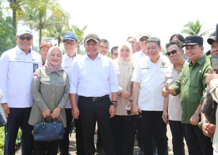 Gubernur Optimis Program OPLA Dongkrak Provinsi Sumsel ke Peringkat 3 Penghasil Pangan Nasional