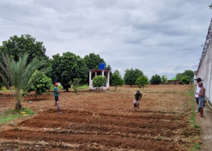 Dukung Program Ketahanan Pangan, Lapas Kelas IIB Muara Enim Maksimalkan Lahan Kosong