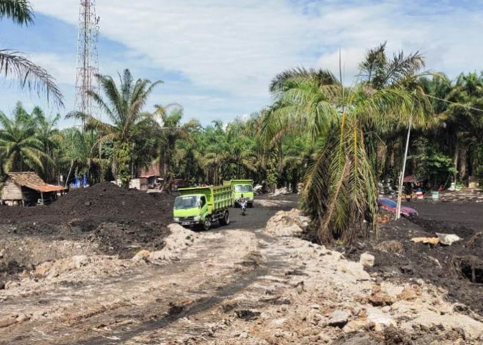 3 Berita Terpopuler: Tambang Batu Bara Ilegal, Pemutihan Pajak Kendaraan Bermotor, Beasiswa Indonesia Bangkit