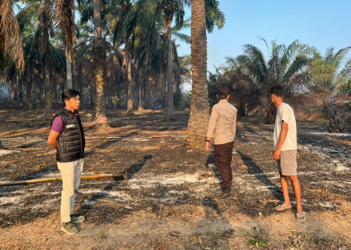Deteksi Hotspot, Polsek Gunung Megang Gerak Cepat Cek Titik Api di Desa Bangun Sari