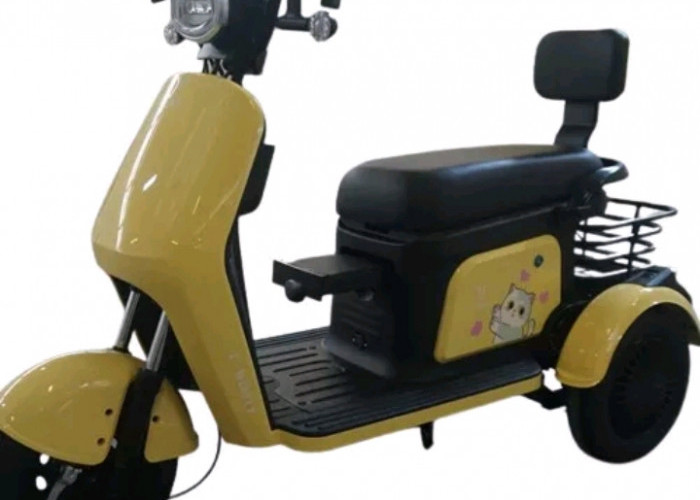 Yuk Intip Spesifikasi Sepeda Listrik Roda Tiga Uwinfly KITTY, Lebih Aman untuk Anak-anak Lho