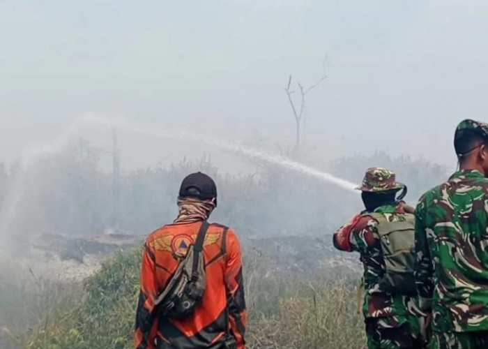 Tim Kemenhut Lakukan Pengecekan Lapangan, Mitigasi Karhutla di Hutan Rimbo Sekampung