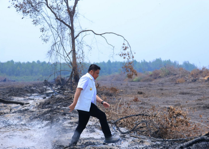 Tinjau Karhutla, Gubernur Herman Deru Tekankan Pencegahan dan Keterlibatan Masyarakat