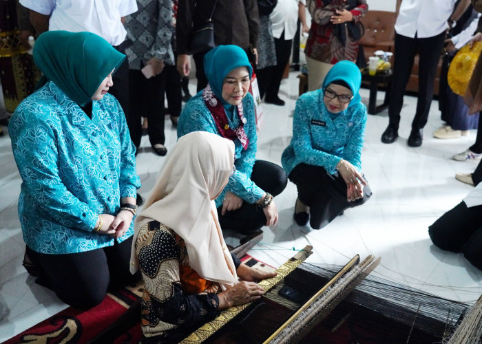 Ketua TP PKK Sumsel Resmikan Galeri UMKM dan Tinjau Stand UP2K