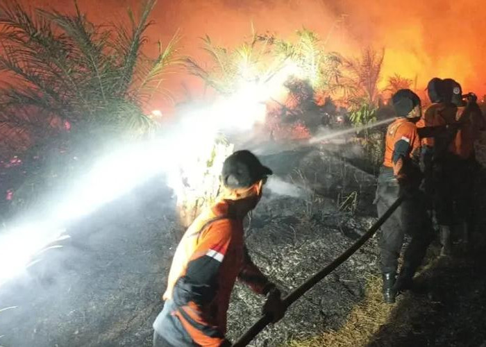 Akses Sulit dan Minim Air, 3 Hektare Lahan Terbakar di Desa Gunung Megang Dalam