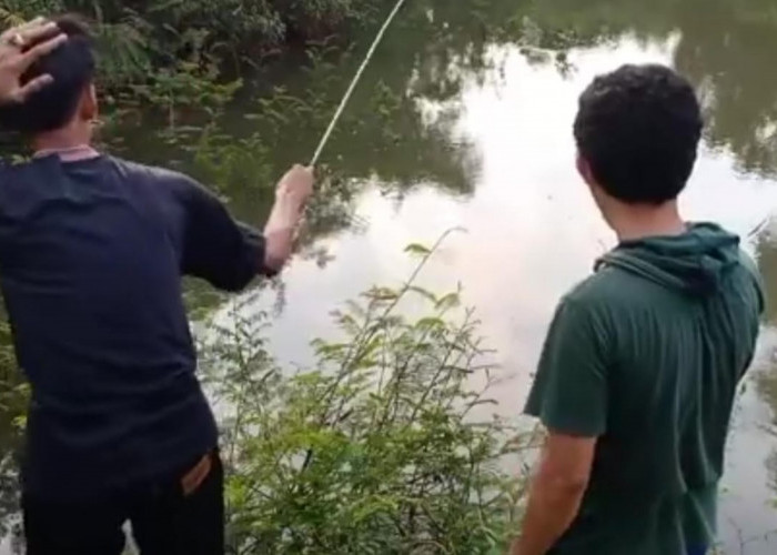 5 Teknik Memancing yang Benar dan Bikin Cepat dapat Ikan, Pemancing Pemula Wajib Tau!