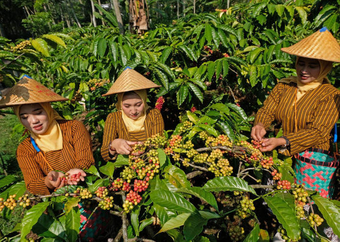 Holding Ultra Mikro BRI Tegaskan Komitmen Ciptakan Ekonomi Inklusif dan Kesetaraan Gender di Hari Kartini