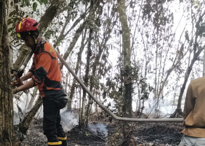 Karhutla di Kecamatan Sungai Rotan Berhasil Dipadamkan