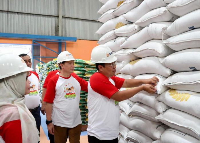 Pastikan Stok Beras Mencukupi, Pj Gubernur Sumsel Bersama Kepala Bapanas Tinjau Gudang Bulog