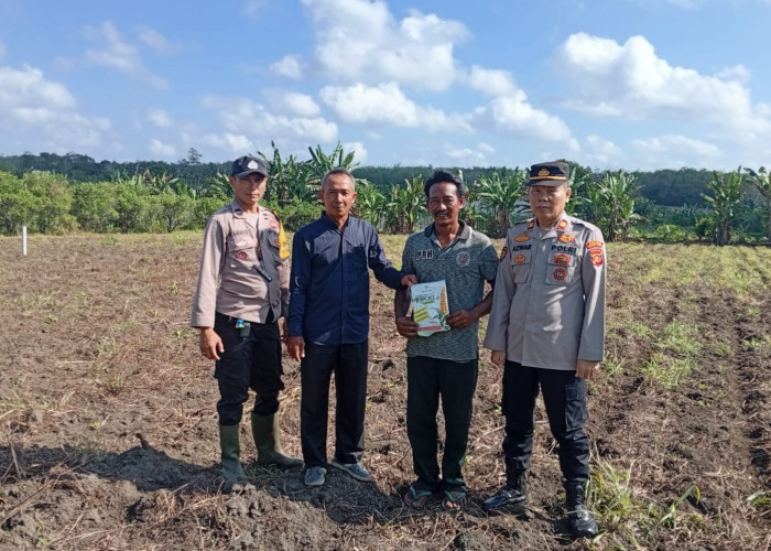 Dukung Swasembada Pangan Nasional, Tanam Jagung di Lahan Seluas 1 Hektare