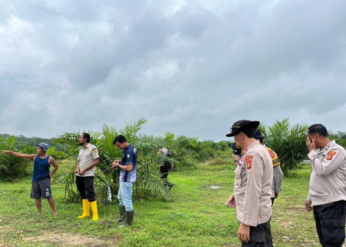 Dukung Ketahanan Pangan, Polres Muara Enim Tinjau Lahan Jagung yang Bermasalah