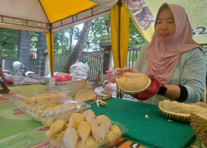 Durian Kupas Bibik Permirsa Muara Enim Tawarkan Kualitas Super dengan Harga Terjangkau