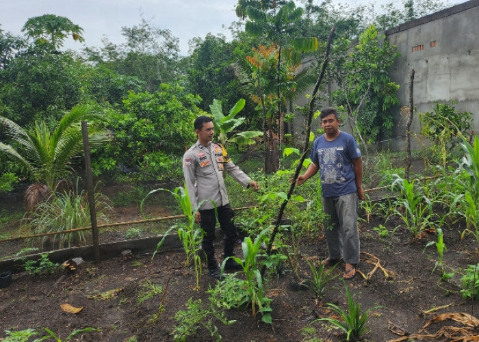 Bhabinkamtibmas Polsek Lembak Polres Muara Enim Gencarkan Gerakan Ketahanan Pangan