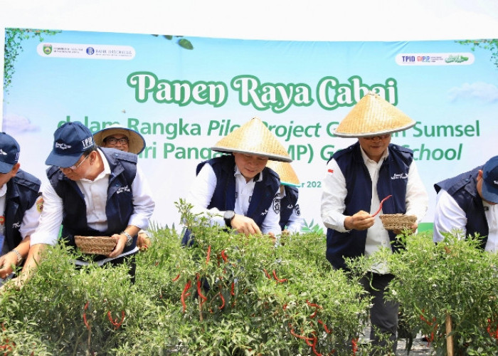 Pj Gubernur Bersama Kepala Perwakilan BI Sumsel Panen Raya Cabai di SMK Negeri 1 Gelumbang