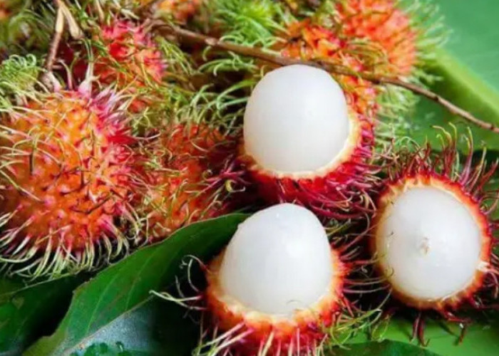 Pecinta Rambutan Harus Tahu, Ini Efek Sampingnya Jika Dikonsumsi Berlebihan