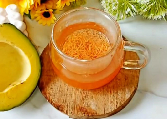 Rebusan Biji Alpukat Mampu Turunkan Kolesterol Jahat dan Gula Darah